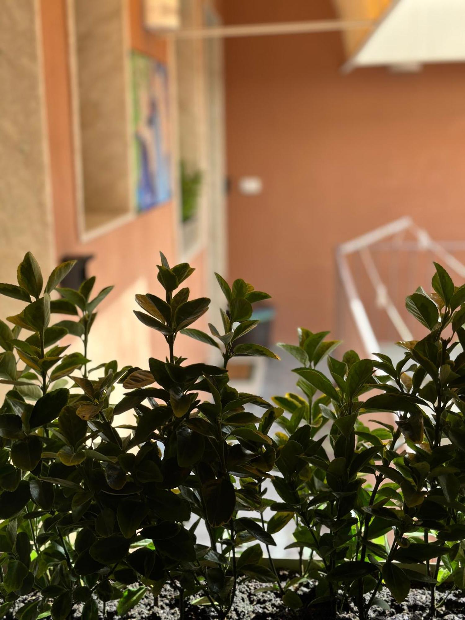 Le Camere Luxury Rooms Siracusa Syracuse Buitenkant foto