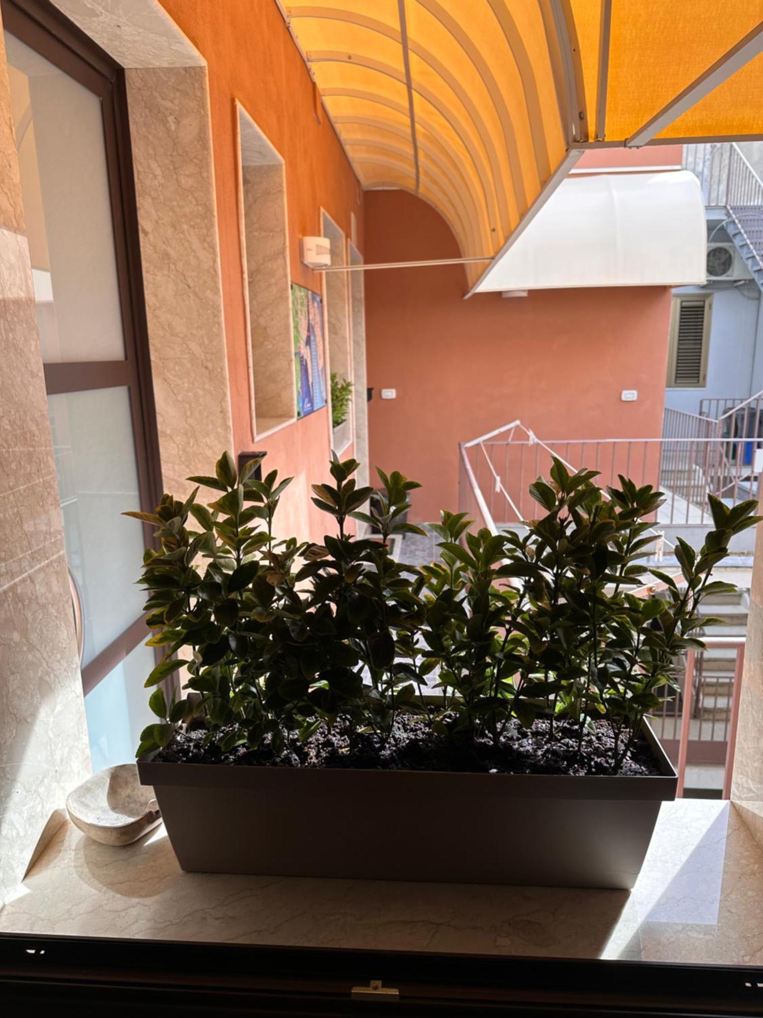Le Camere Luxury Rooms Siracusa Syracuse Buitenkant foto
